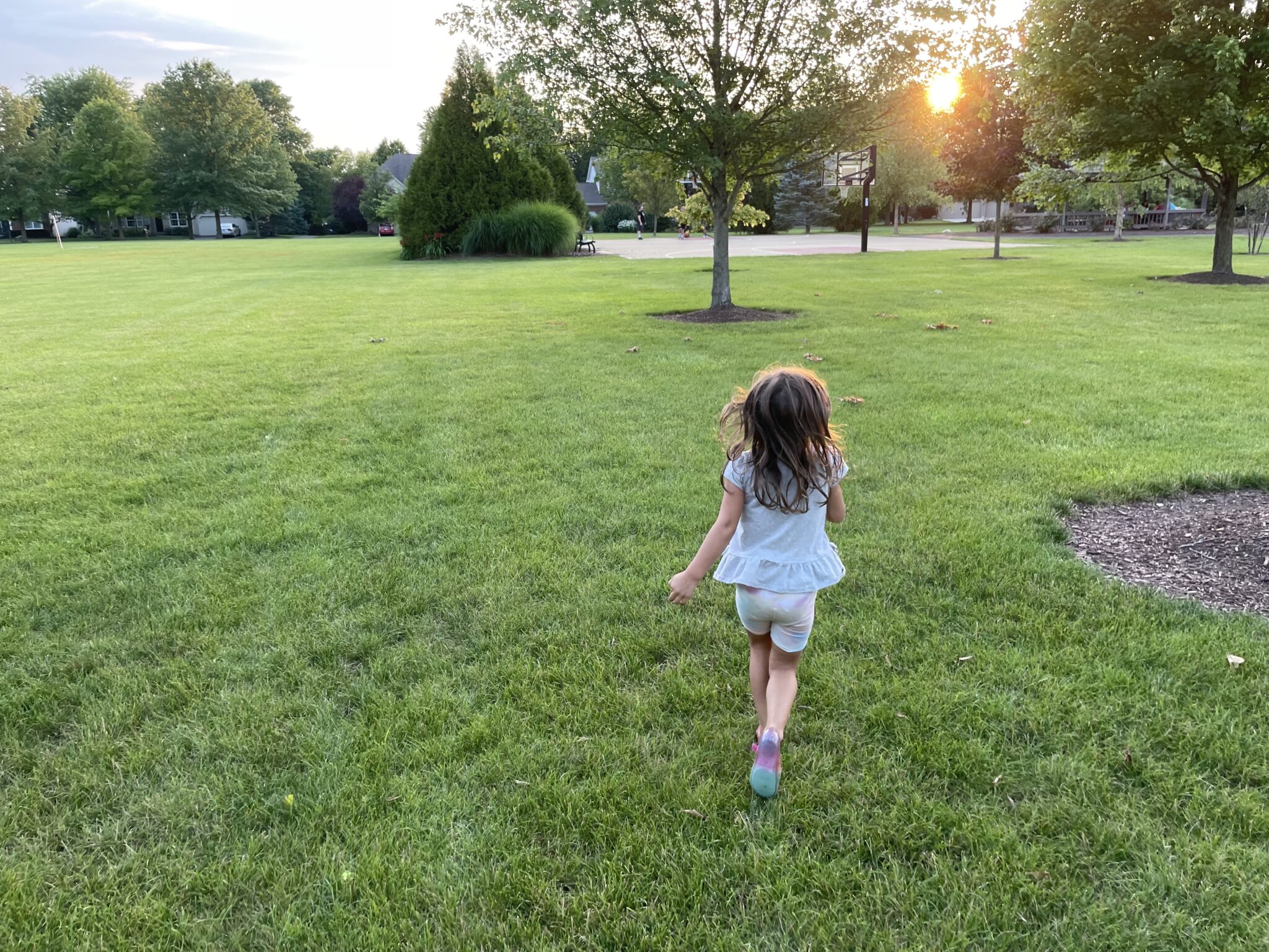 Hawk's Nest HOA Dublin, OH